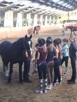 hestemassage Hestekundskab børn ridetur ridning pony dragør